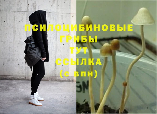 прущий лед Белокуриха