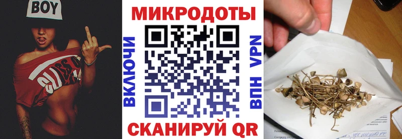 наркота Юрюзань Псилоцибиновые грибы Psilocybe